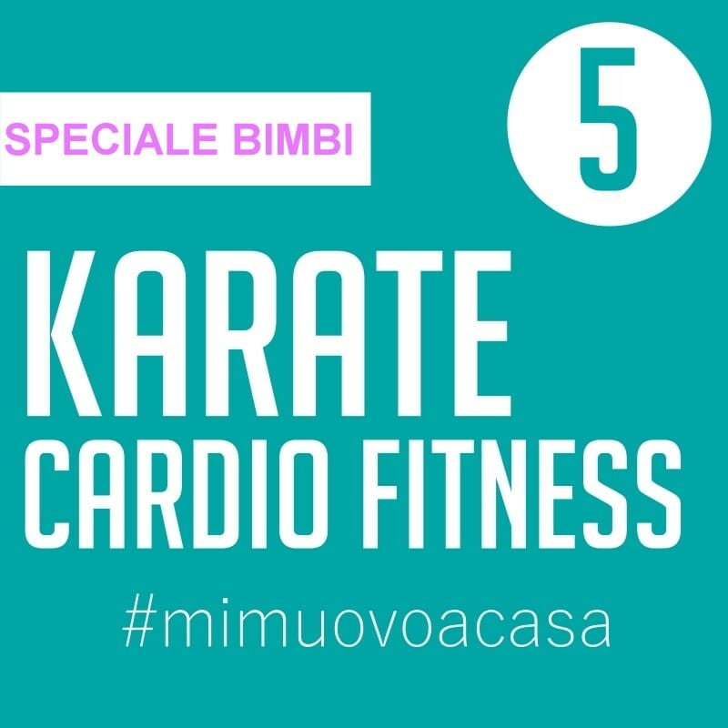 karate-cardio-fitness-video-img5